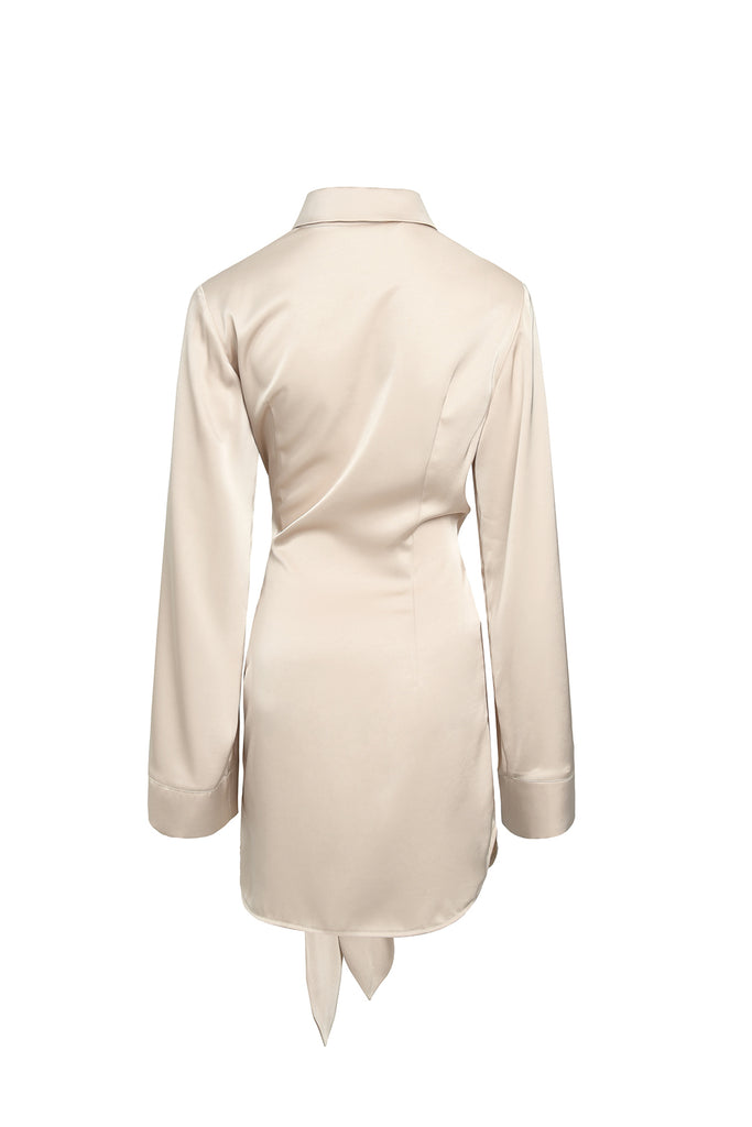 Waist dress | Champagne dress | Holiday dress